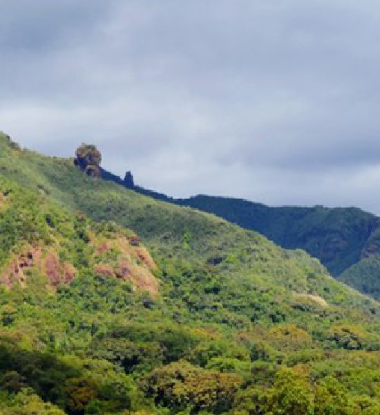 Bale-Mountains-National-Park-Ethiopia-Luxury-Adventure-ker-downey